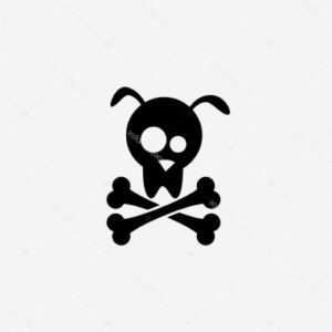 Meet your Posher, Jeremy